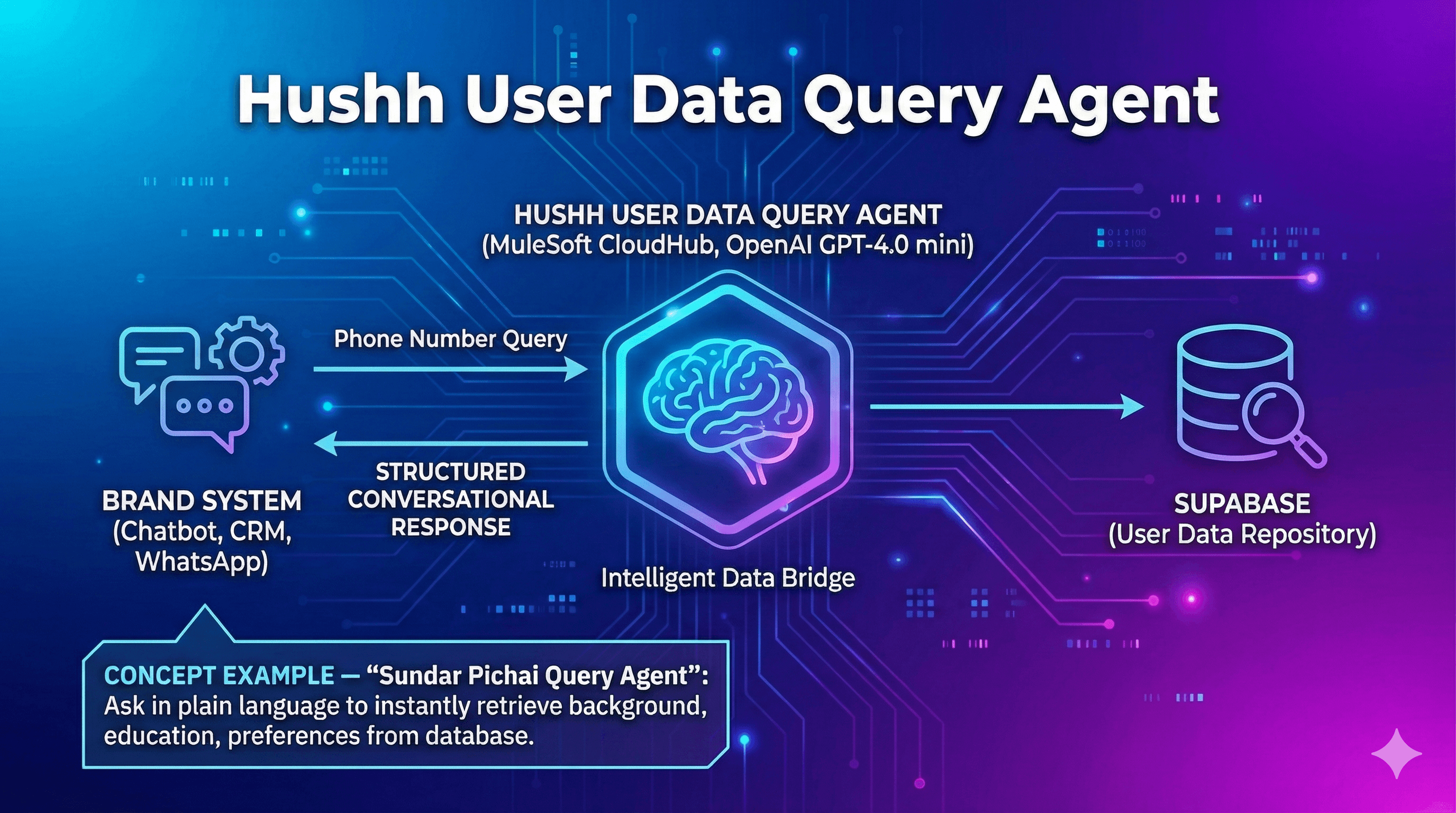Hushh User Data Query Agent