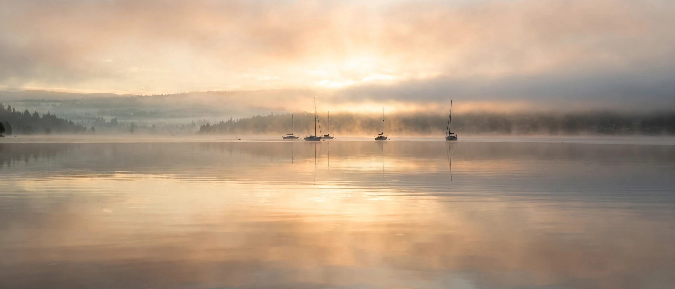 Kirkland Marina at dawn